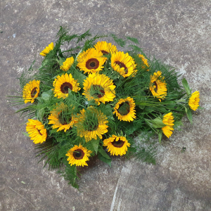 Touffe één soort bloemen